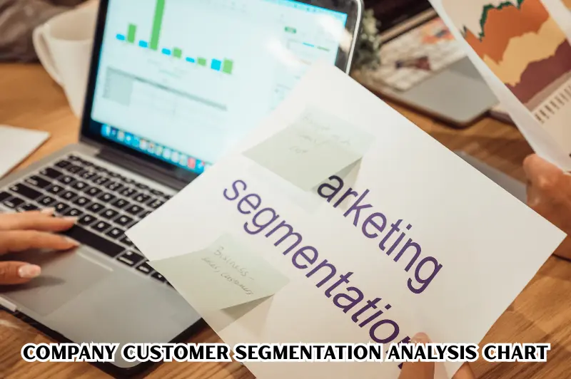 company customer segmentation analysis chart