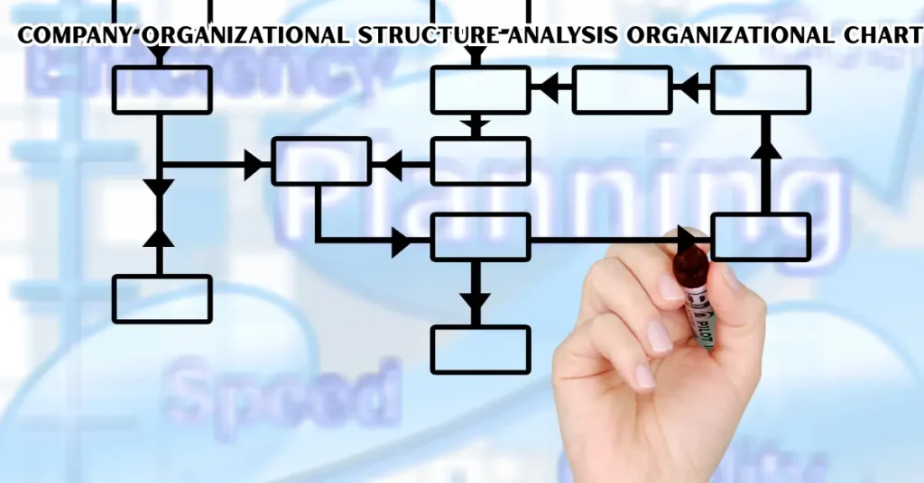 company organizational structure analysis organizational chart