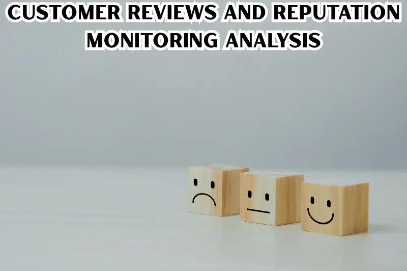 customer reviews and reputation monitoring analysis