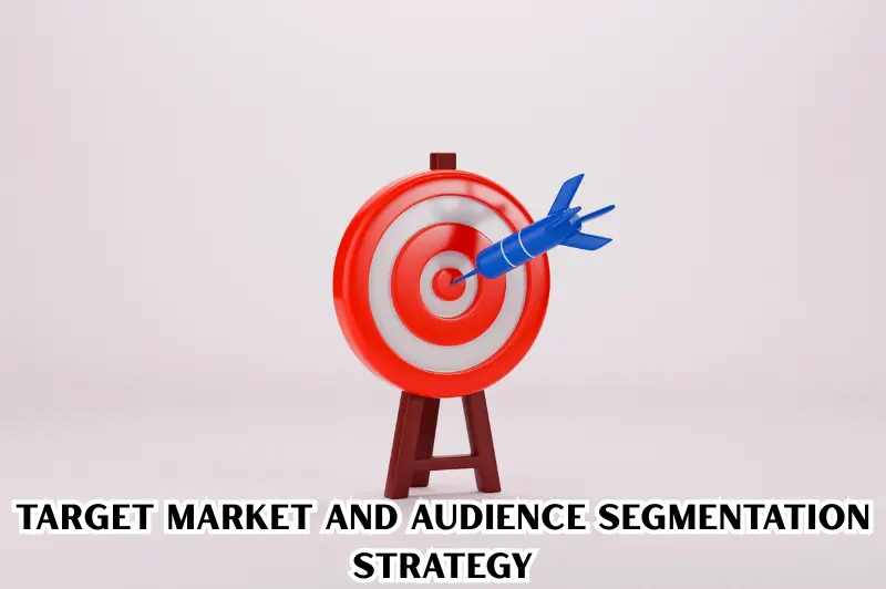 target market and audience segmentation strategy